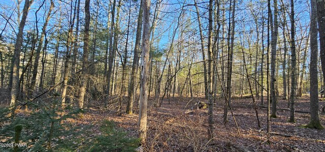 LOT57.1 Yulan-Barryville Rd, Barryville, NY 12719 - photo 7