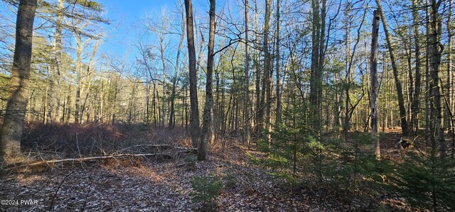 LOT57.1 Yulan-Barryville Rd, Barryville, NY 12719 - photo 4