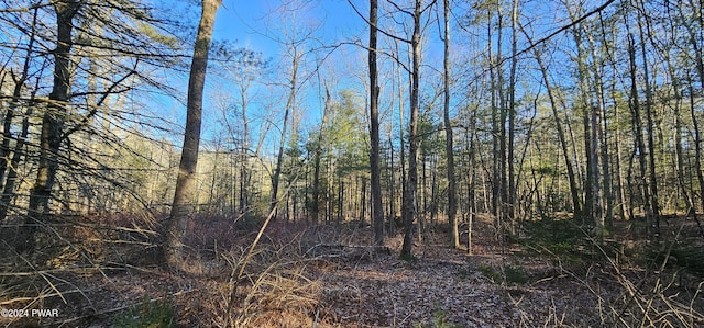 LOT57.1 Yulan-Barryville Rd, Barryville, NY 12719 - photo 2