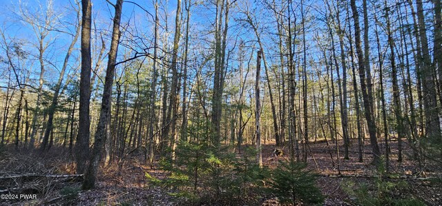 LOT57.1 Yulan-Barryville Rd, Barryville, NY 12719 - photo 5