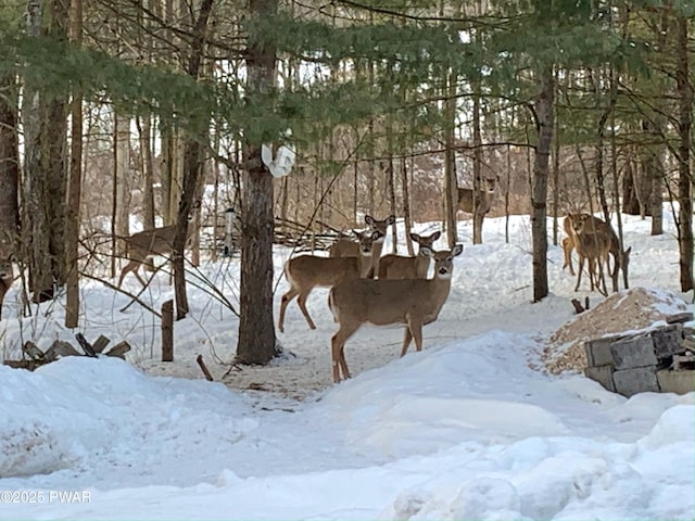 1304 Pratt Hollow Rd, Nicholson, PA 18446 - view of yard layered in snow