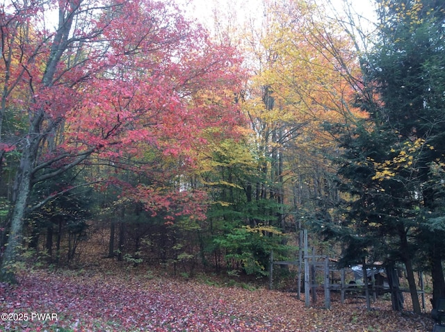 1304 Pratt Hollow Rd, Nicholson, PA 18446 - view of wooded area