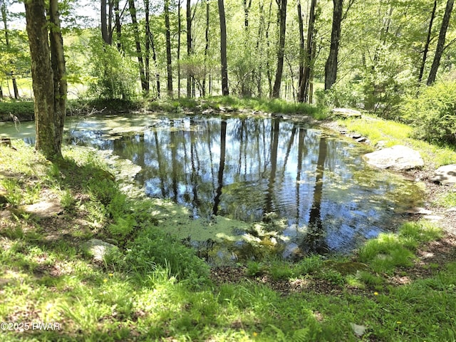1304 Pratt Hollow Rd, Nicholson, PA 18446 - water view