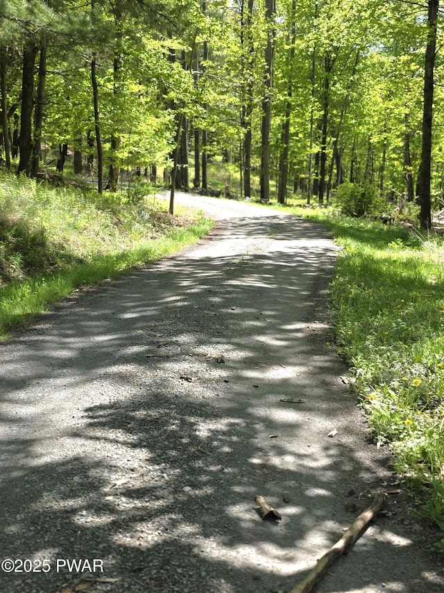 1304 Pratt Hollow Rd, Nicholson, PA 18446 - view of road featuring a forest view