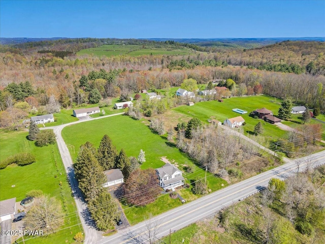 1409 Beach Lake Hwy, Beach Lake, PA 18405 - drone / aerial view with a view of trees
