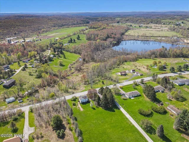 1409 Beach Lake Hwy, Beach Lake, PA 18405 - bird's eye view with a water view