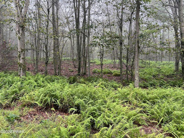 LOT67 Emerald Ave, Gouldsboro, PA 18424