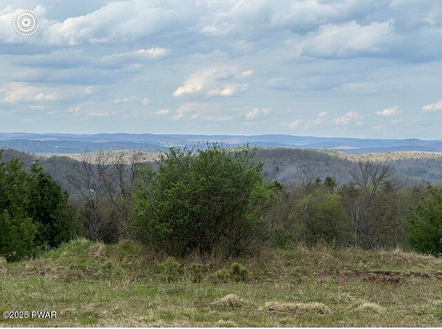 Milanville Rd, Milanville, PA 18405