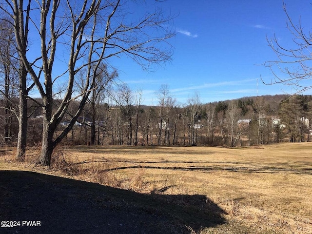 view of local wilderness featuring a wooded view