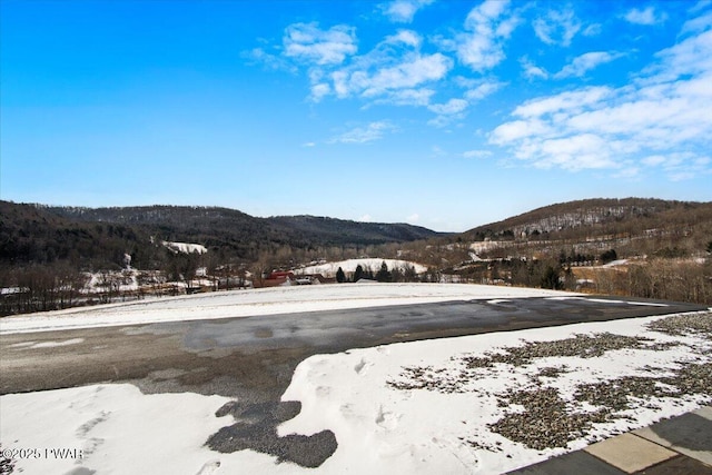 8045 State Route 706, Montrose, PA 18801 - photo 64