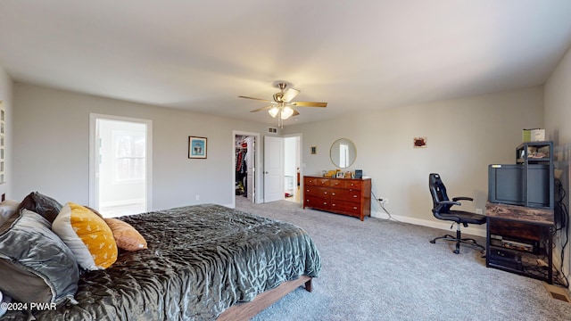 bedroom with carpet flooring, ceiling fan, a spacious closet, and a closet