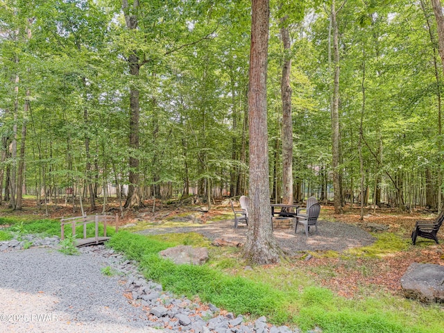 107 Firelight Ln, Lackawaxen, PA 18435 - photo 82