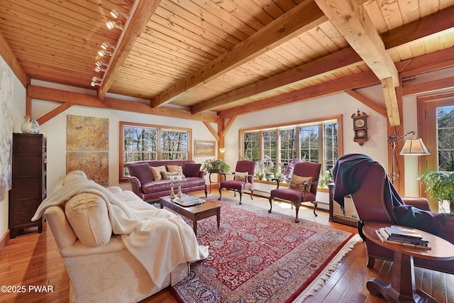 114 Wisener Ln, Shohola, PA 18458 - living room with wood ceiling, wood-type flooring, and beam ceiling