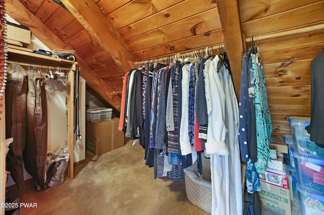 114 Wisener Ln, Shohola, PA 18458 - walk in closet featuring carpet and vaulted ceiling