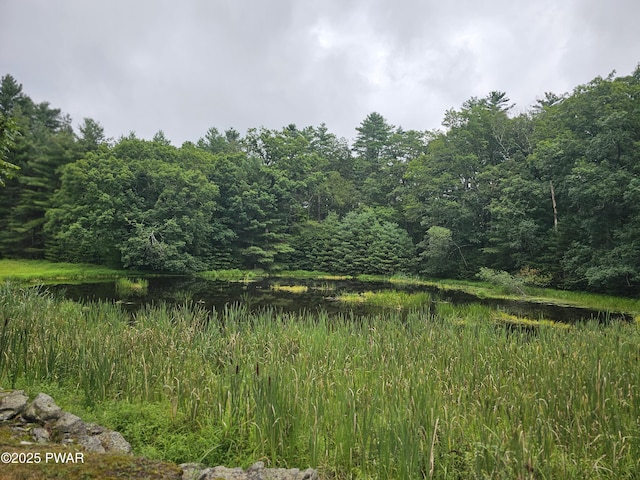 130 German Hill Rd, Shohola, PA 18458 - photo 11