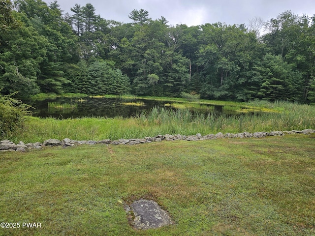 130 German Hill Rd, Shohola, PA 18458 - photo 12