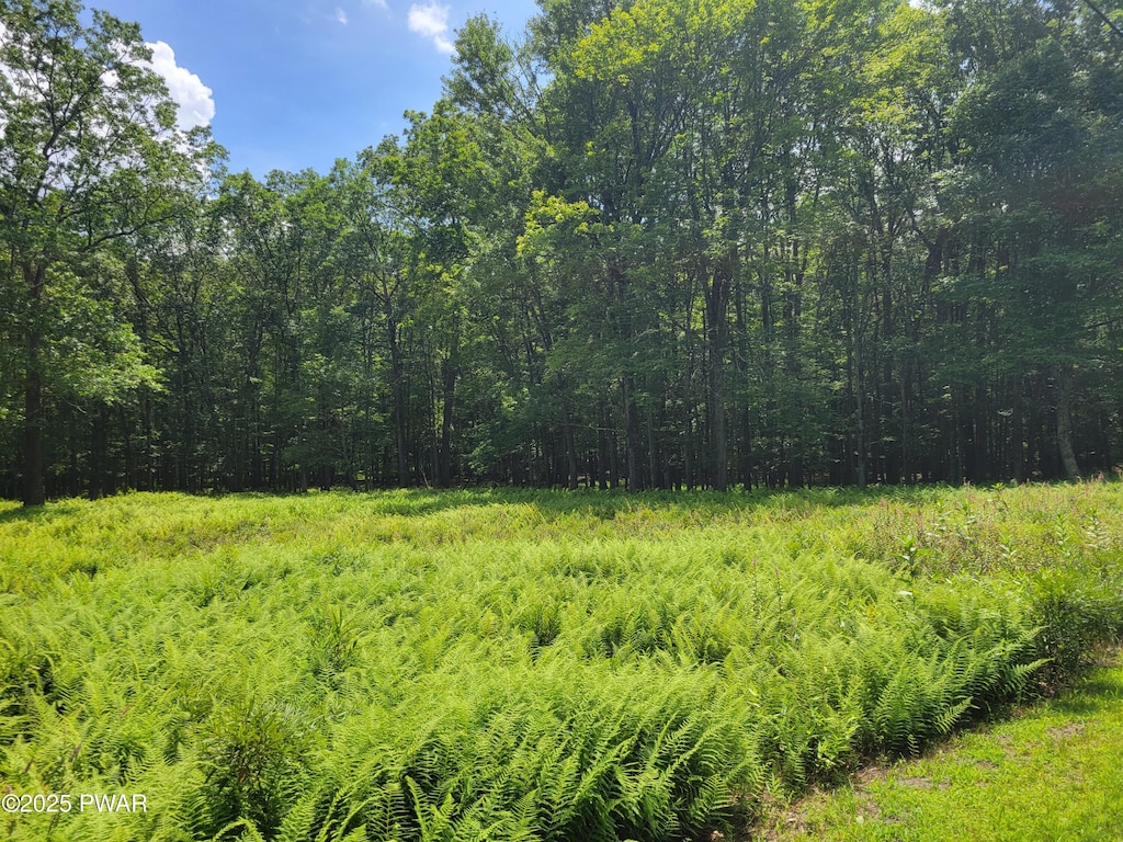 LOT18 Fern Dr, Hawley, PA 18428 - photo 1