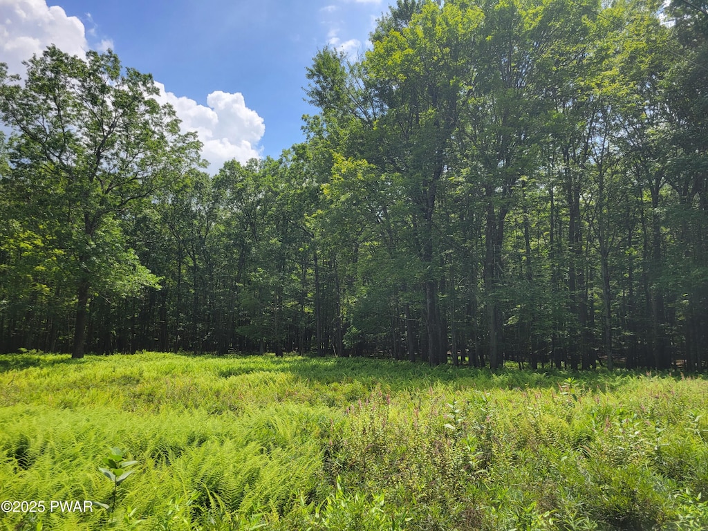 LOT18 Fern Dr, Hawley, PA 18428 - photo 2