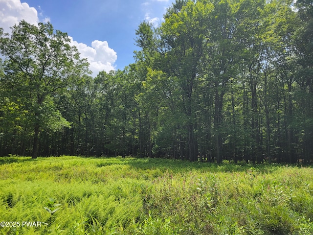 LOT18 Fern Dr, Hawley, PA 18428 - photo 2