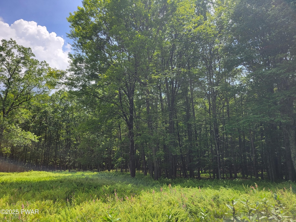 LOT18 Fern Dr, Hawley, PA 18428 - photo 3