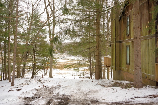 view of snowy landscape