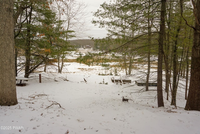 view of snowy landscape