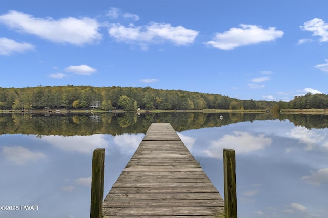 1024 Beaver Lake Dr, Lake Ariel, PA 18436