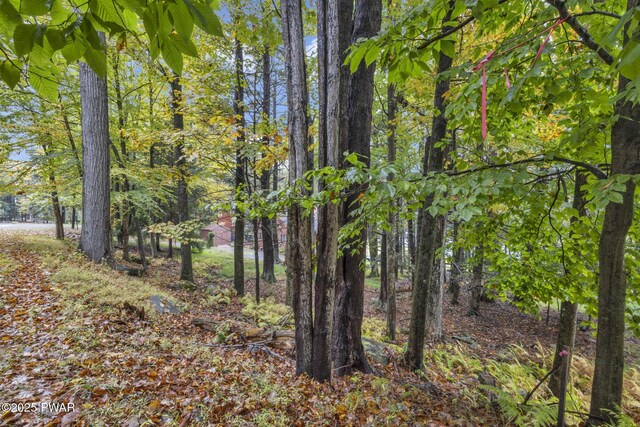 1024 Beaver Lake Dr, Lake Ariel, PA 18436