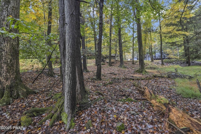 1024 Beaver Lake Dr, Lake Ariel, PA 18436