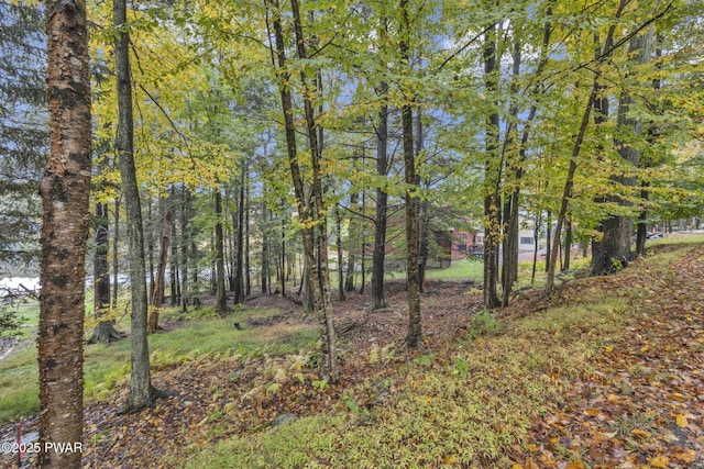 1024 Beaver Lake Dr, Lake Ariel, PA 18436