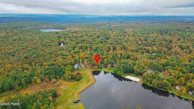 1024 Beaver Lake Dr, Lake Ariel, PA 18436