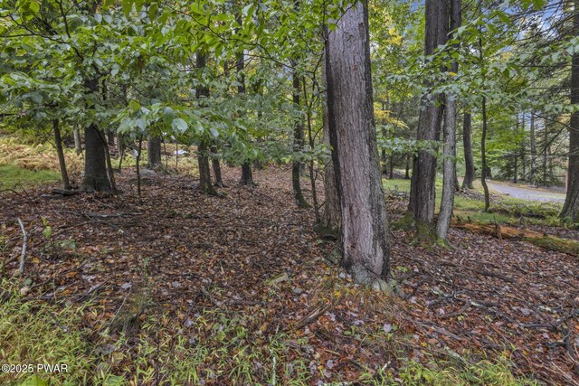 1024 Beaver Lake Dr, Lake Ariel, PA 18436
