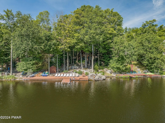 dock area featuring a water view