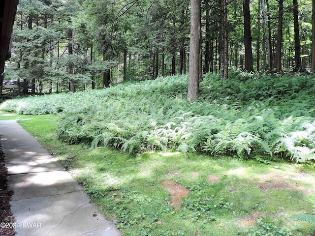 103 Schrenk Dr, Greentown, PA 18426