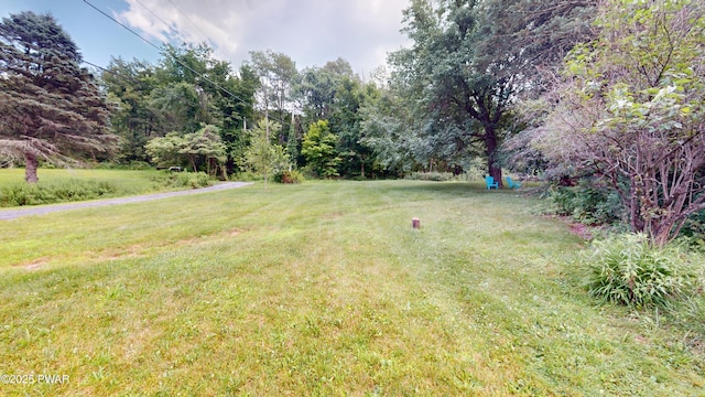 104 Dimmick Ln, East Stroudsburg, PA 18301 - photo 42