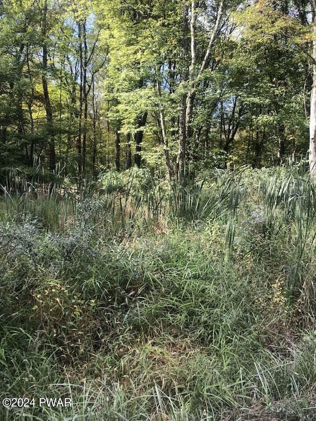 Listing photo 3 for LOT106 Kemadobi Cir E, Dingmans Ferry PA 18328