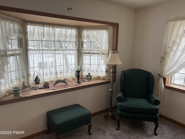 sitting room featuring carpet