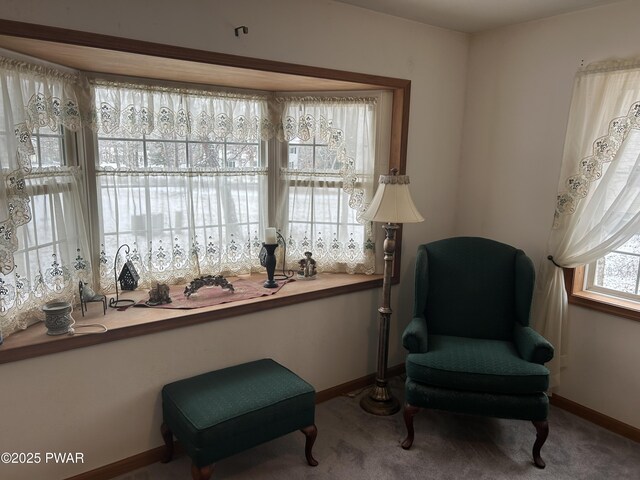 sitting room featuring carpet