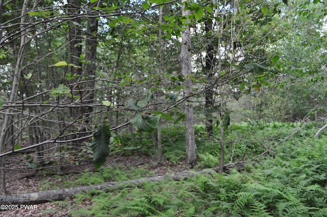 Bryn Mawr Rd, Honesdale, PA 18431 - photo 19