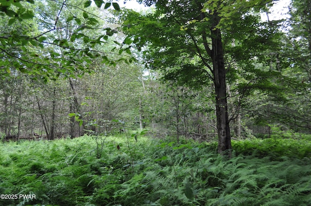 Bryn Mawr Rd, Honesdale, PA 18431 - photo 2
