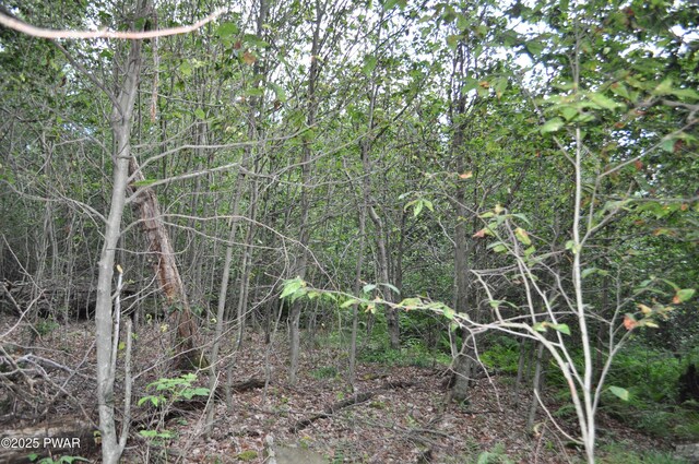 Bryn Mawr Rd, Honesdale, PA 18431 - photo 13