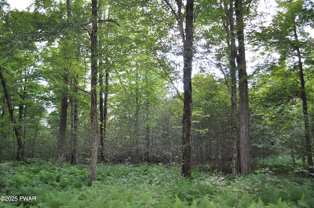 Bryn Mawr Rd, Honesdale, PA 18431 - photo 1