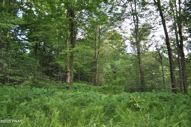 Bryn Mawr Rd, Honesdale, PA 18431 - photo 5