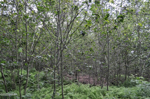 Bryn Mawr Rd, Honesdale, PA 18431 - photo 12