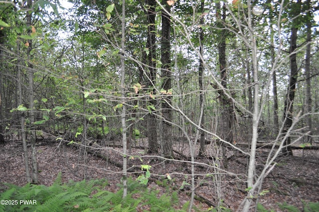 Bryn Mawr Rd, Honesdale, PA 18431 - photo 16