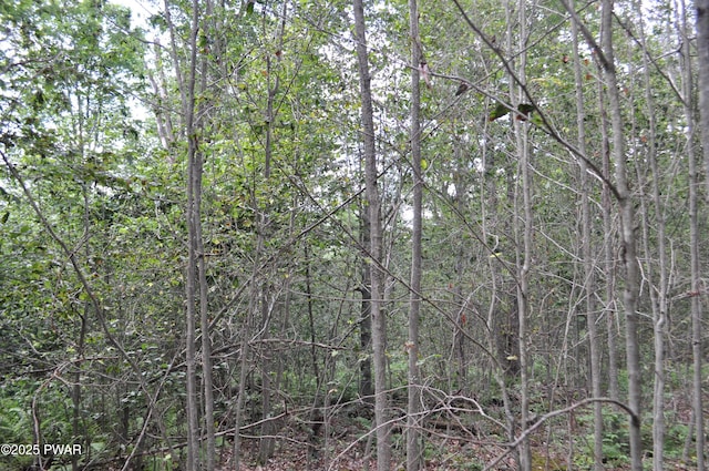 Bryn Mawr Rd, Honesdale, PA 18431 - photo 14