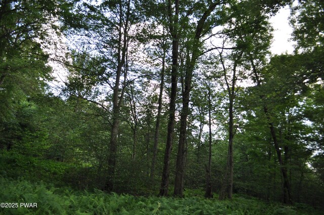 Bryn Mawr Rd, Honesdale, PA 18431 - photo 7