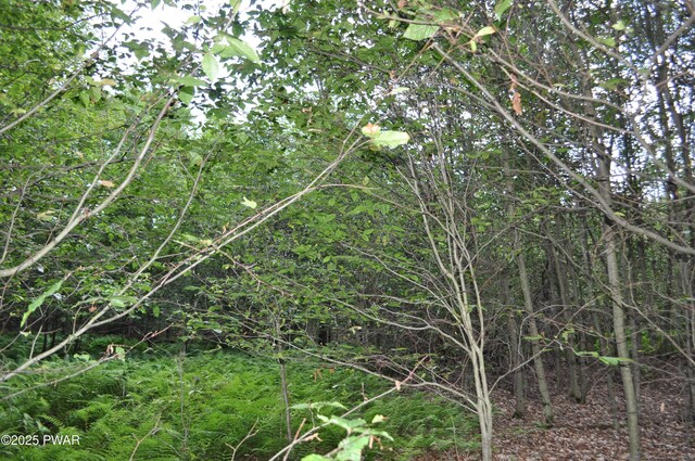 Bryn Mawr Rd, Honesdale, PA 18431 - photo 18