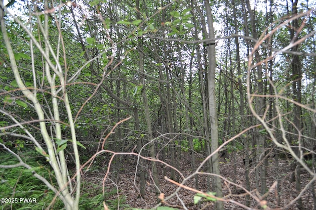 Bryn Mawr Rd, Honesdale, PA 18431 - photo 20