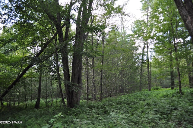 Bryn Mawr Rd, Honesdale, PA 18431 - photo 8
